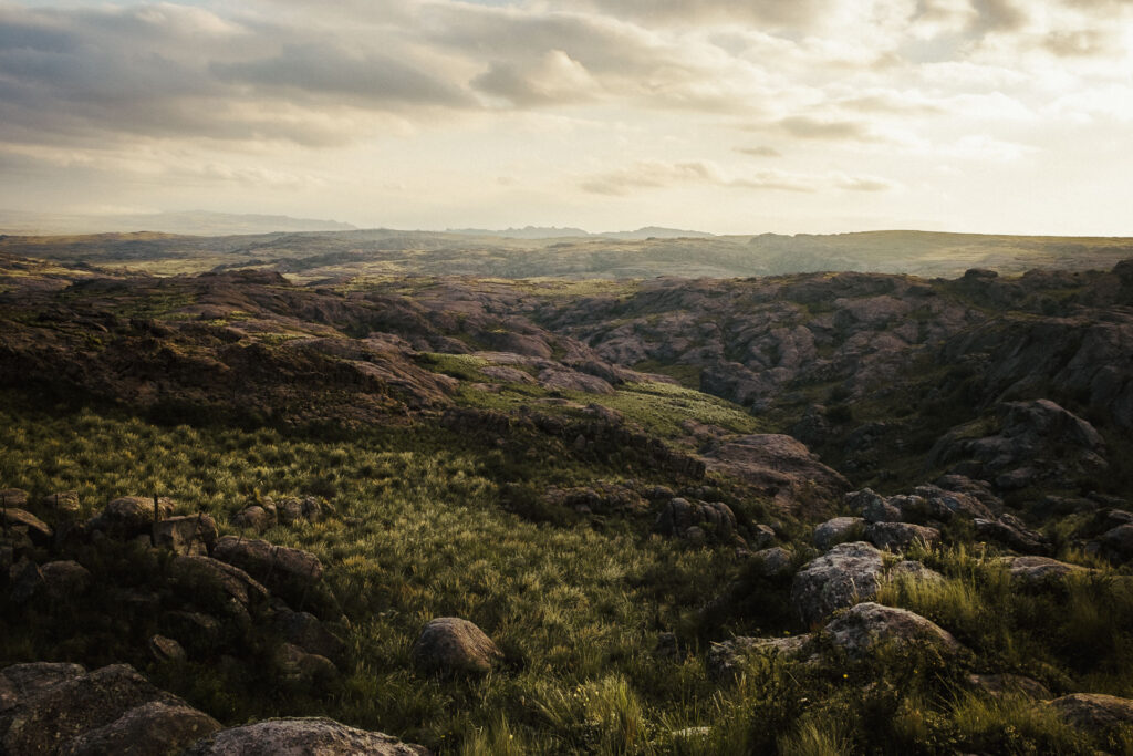 Parque Nacional Quebrada del Condorito landscape during sunset| Argentina by Ondrej kolacek
